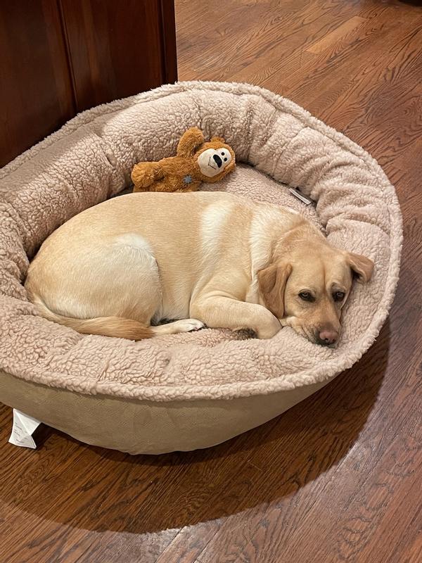 Orvis wraparound hotsell dog bed