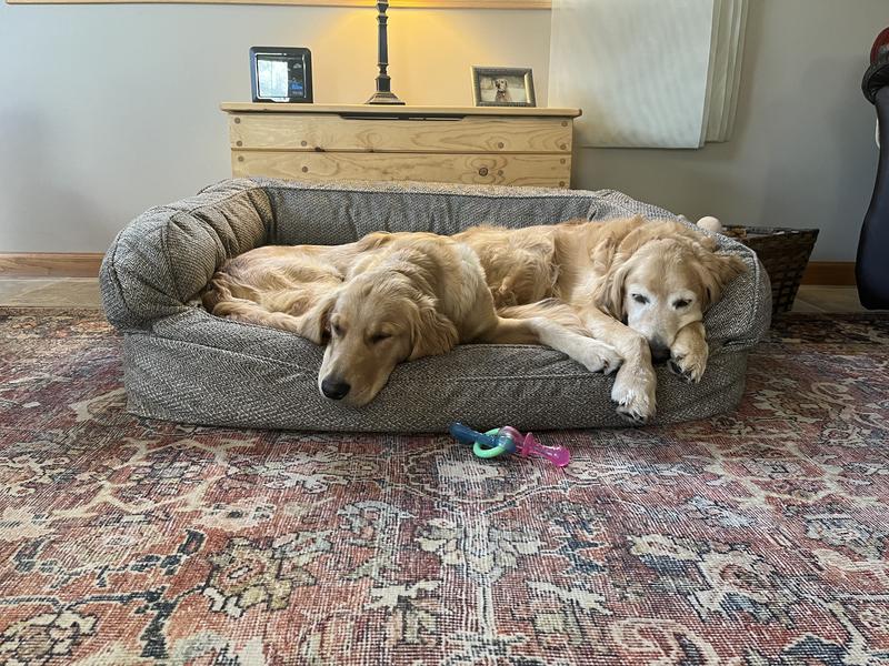 Orvis ToughChew® ComfortFill-Eco™ Platform Dog Bed