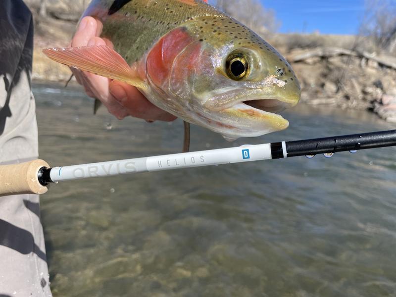 Orvis Helios D Fly Rod - The Compleat Angler