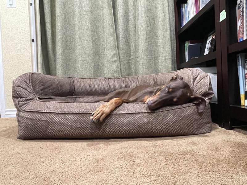 Orvis ComfortFill-Eco Couch Dog Bed, LG / Slate