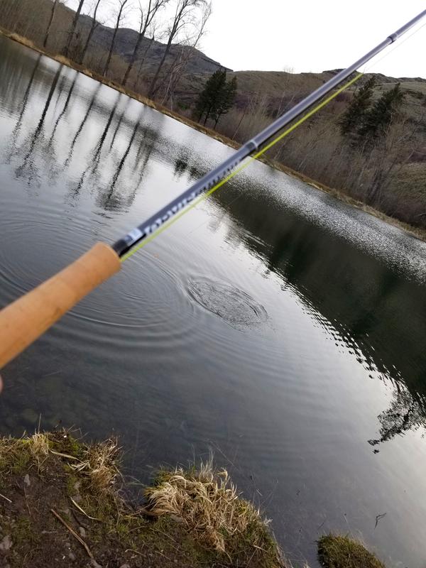 CLEARWATER 2-WEIGHT 10' FLY ROD [25SP-51-51] - $249.00 : Anglers