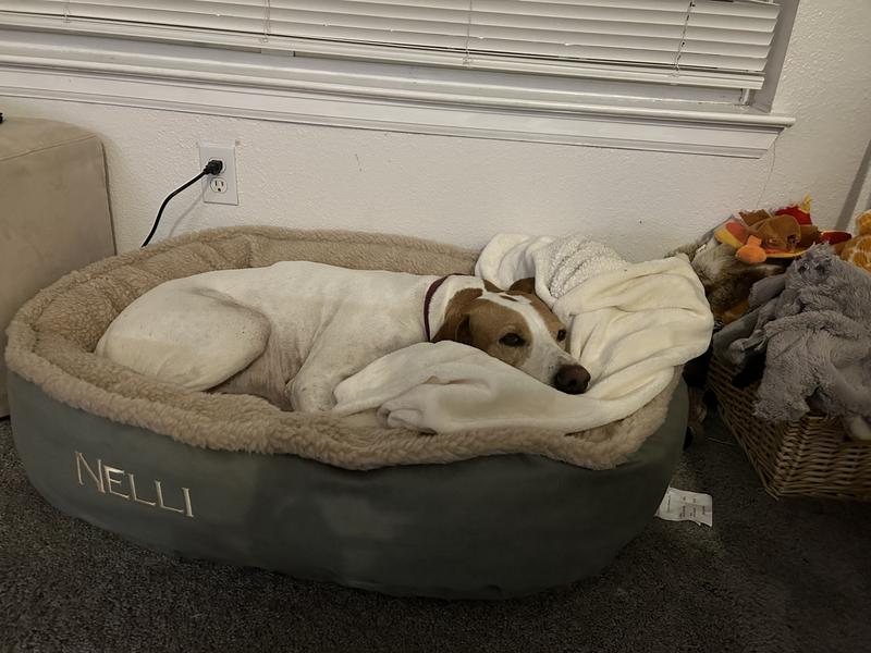 Orvis wraparound dog on sale bed