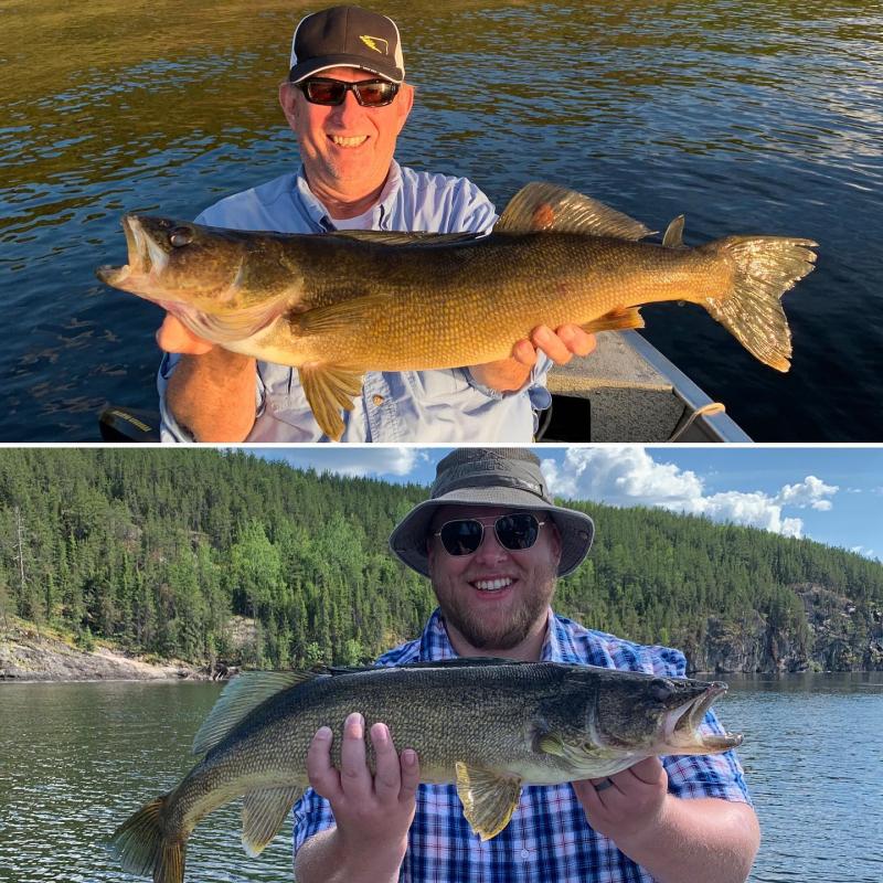 Knock On Wood Walleye  Northern Ontario Travel