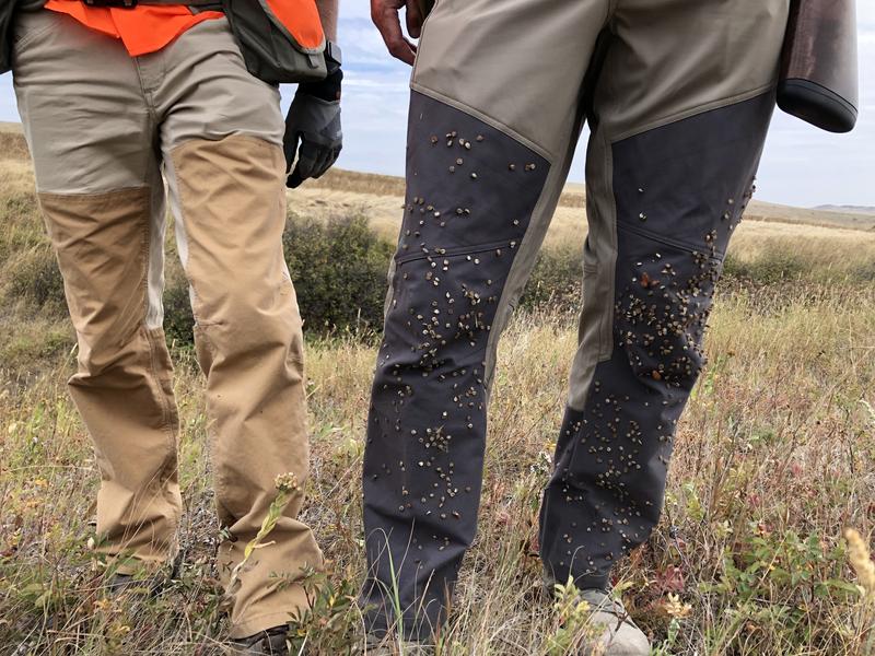 missouri breaks briar pants