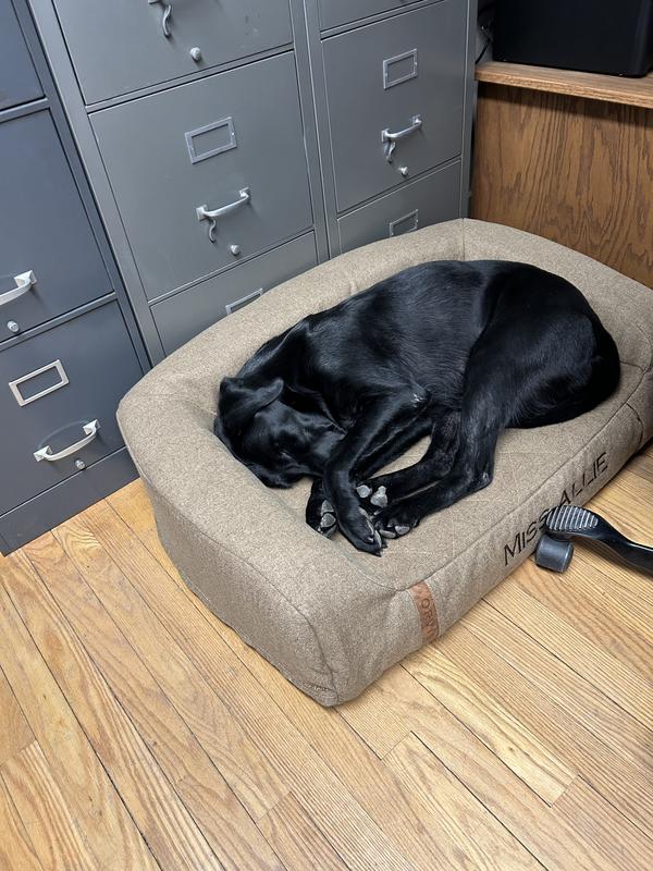 Orvis outlet clearance dog beds