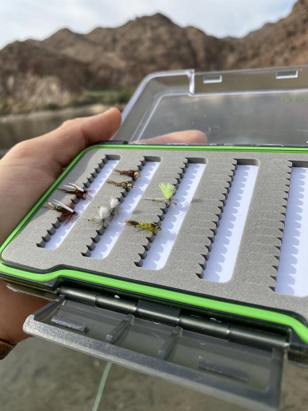 Clear Shell Double-Sided Fly Box