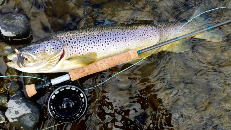 Fish Partner Fly-Fishing Outfitter in Iceland