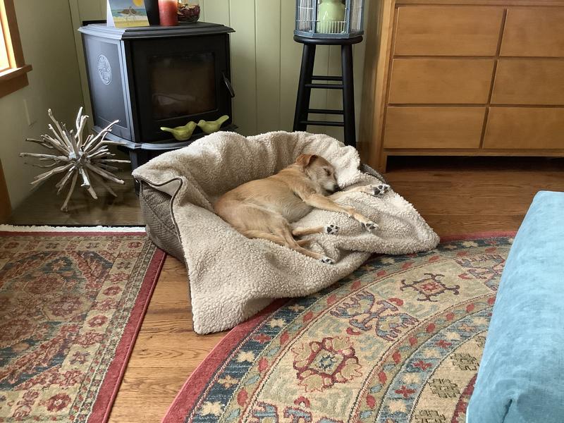 Orvis best sale dog blanket