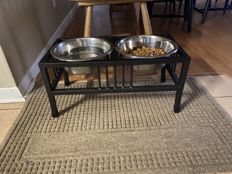 Orvis raised dog bowls best sale