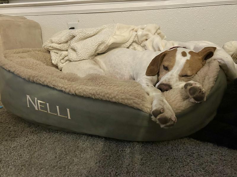 Orvis comfortfill wraparound outlet dog bed with fleece