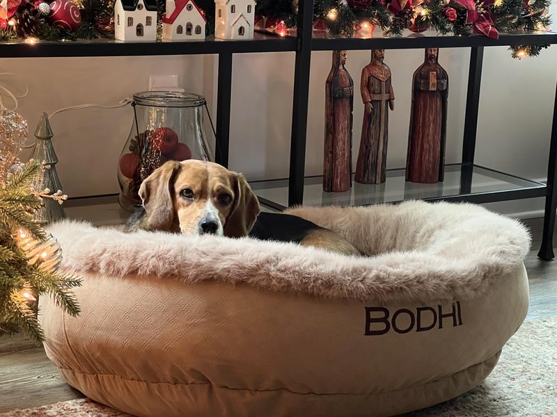 ToughChew® ComfortFill-Eco™ Bolster Dog Bed