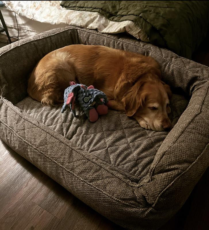 Orvis memory shop foam dog bed