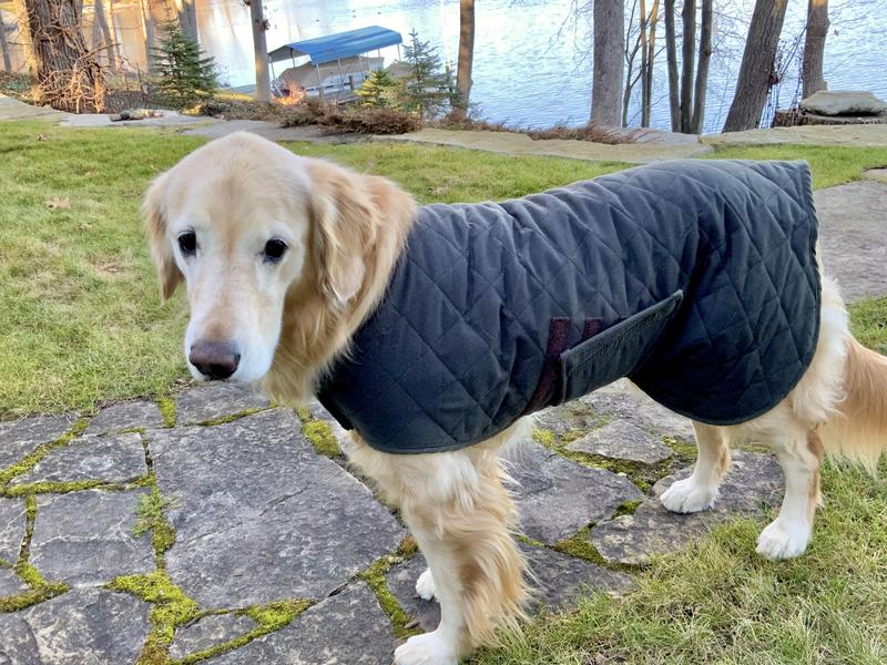 Buffalo Check Dog Jacket