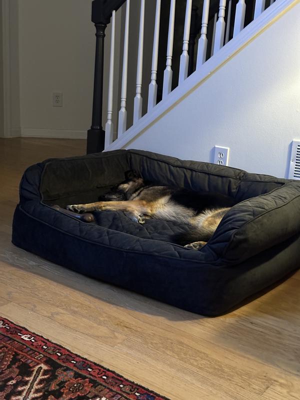 Orvis memory foam outlet dog bed