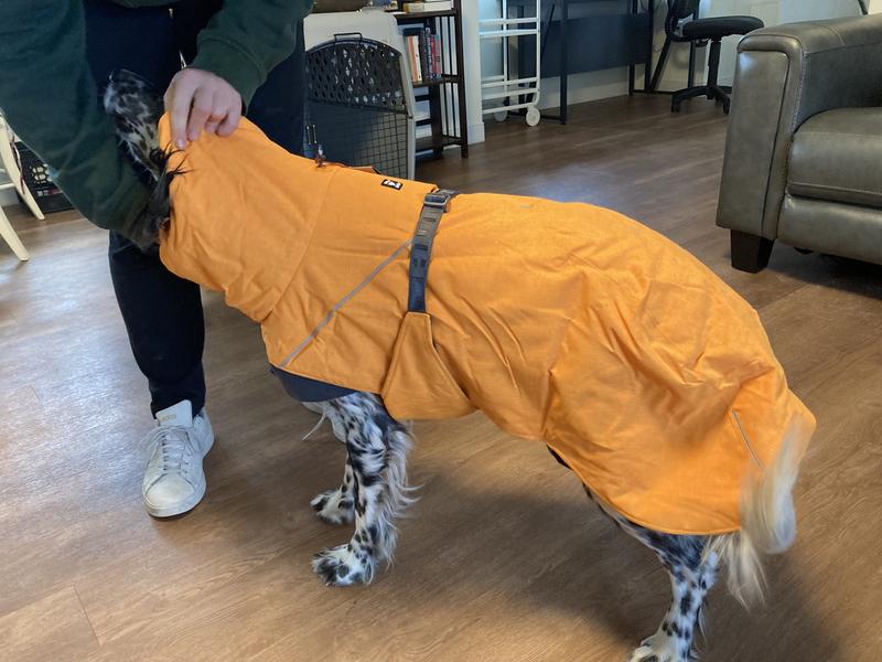 Orvis best sale dog raincoat