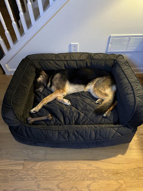 Orvis memory clearance foam dog bed