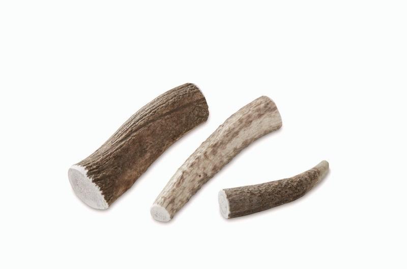 Antler bones outlet for puppies