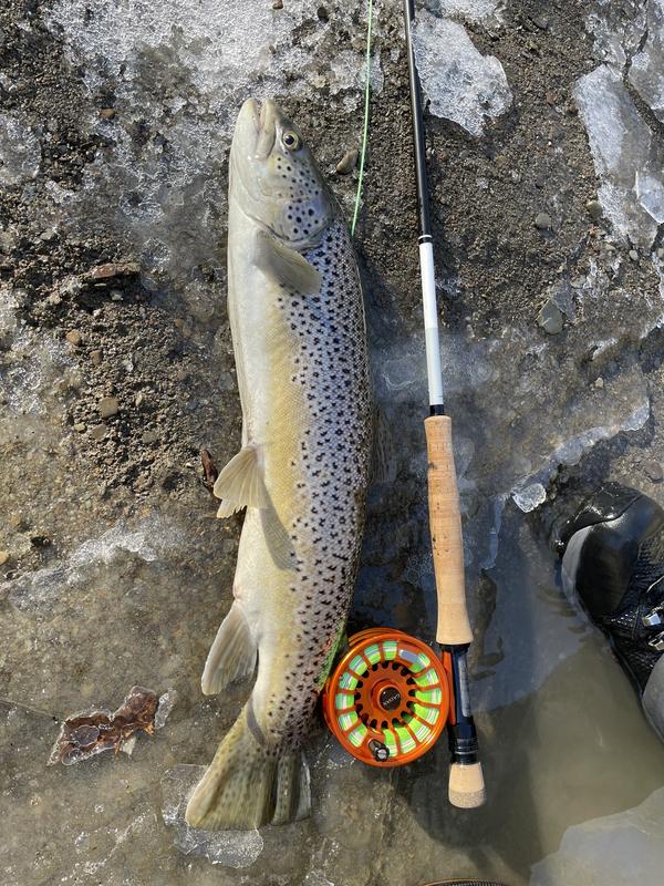 Helios™ D 9' 7-Weight Fly-Fishing Rod | Orvis Helios™ D 9' 7-Weight Fly-Fishing Rod | Orvis