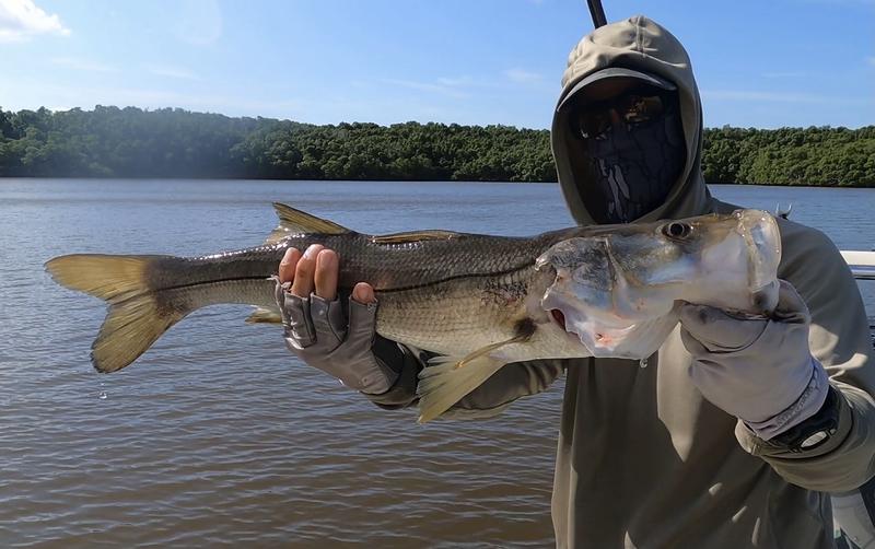  Snook Fishing Lure Fishing Spot Fisherman Gear Snook Fisher  Long Sleeve T-Shirt : Clothing, Shoes & Jewelry