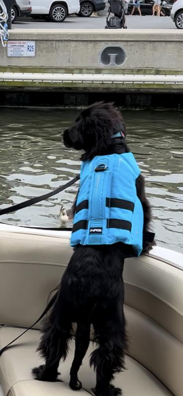 NRS Dog Lifejacket Flotation Device Orvis