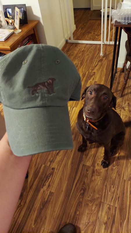 Orvis dog hat hotsell