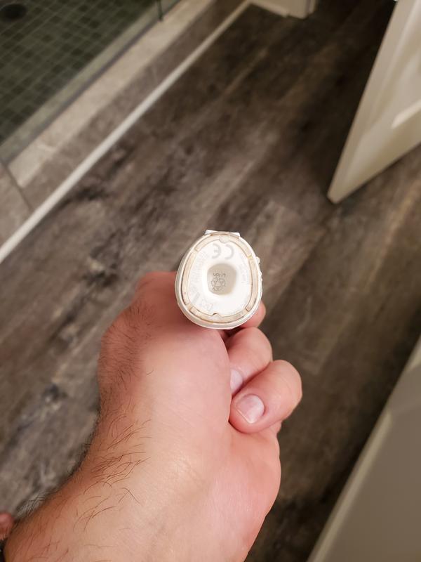 The base of the brush