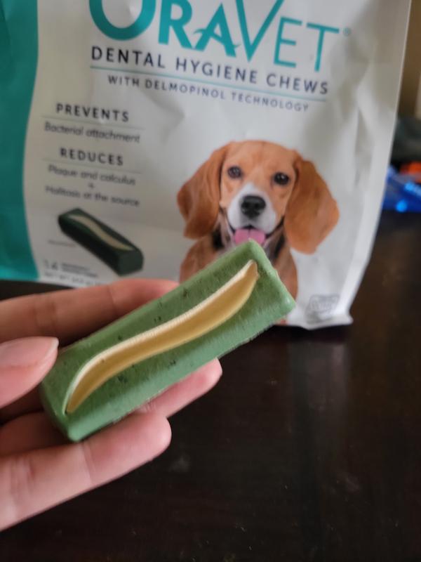 Decently sized