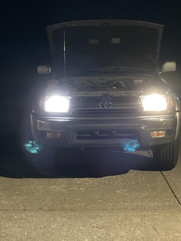 Zxe on sale gold headlights