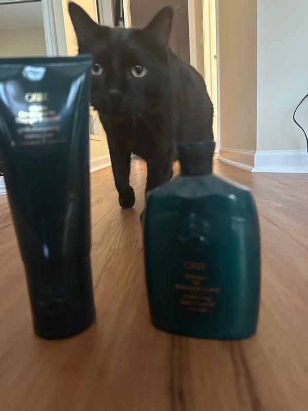 Moisture & Control – Oribe Hair Care