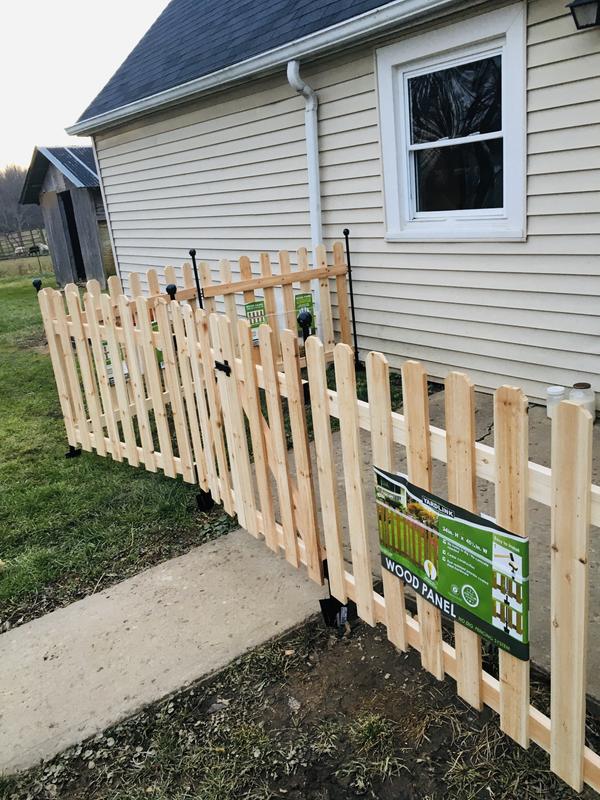 Fence with gate