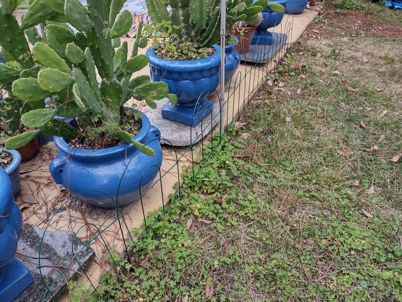 Stretches to eight foot for plenty coverage.