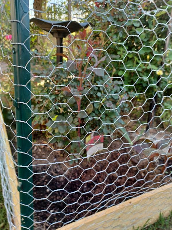 BOEN 25-ft x 3-ft 0-Gauge Black Hdpe Chicken Wire Rolled Fencing with Mesh  Size 1/2-in x 1-in in the Rolled Fencing department at