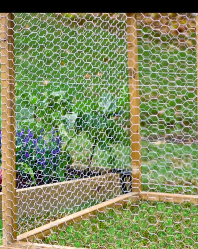 BLUE HAWK Garden Craft Silver Galvanized Steel Garden Chicken Wire Rolled  Fencing (25-ft x 2-ft) 280639