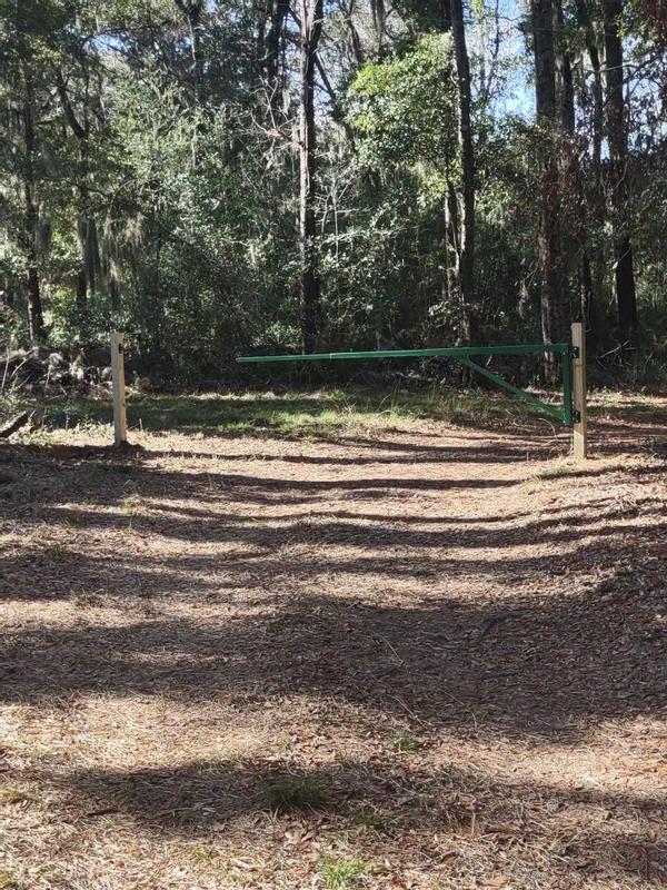FIRST DEFENSE 11.76-ft x 2.37-ft Green Steel Driveway Gate in the ...
