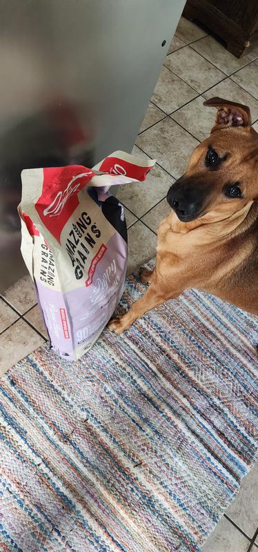 Dog ate 2000 on sale iu vitamin d