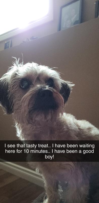 Distraction after his neuter.