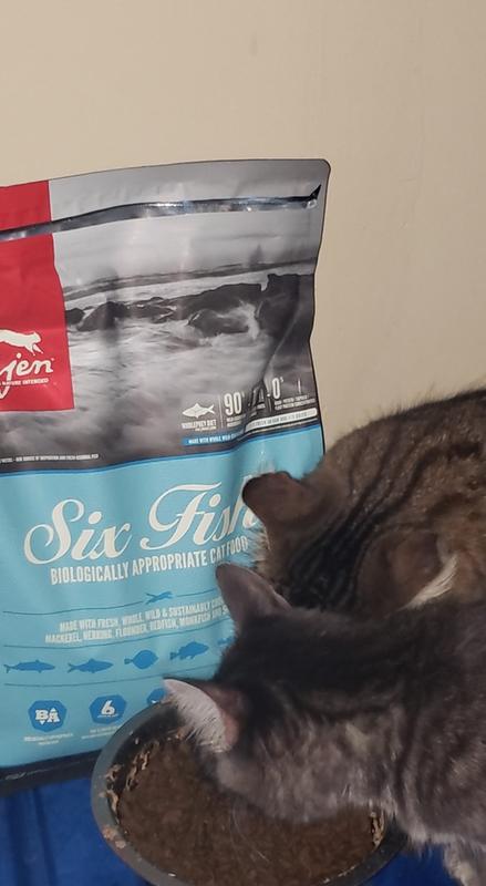 Orijen six fish dry cat outlet food