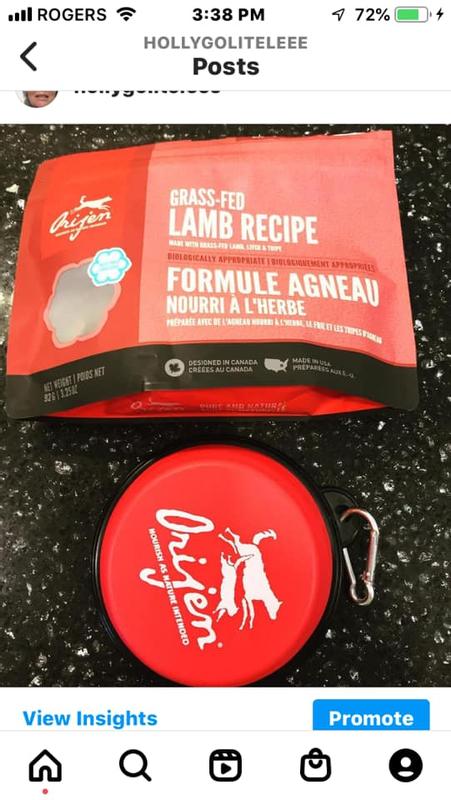 Orijen Grass-Fed Liver snacks and water bowl