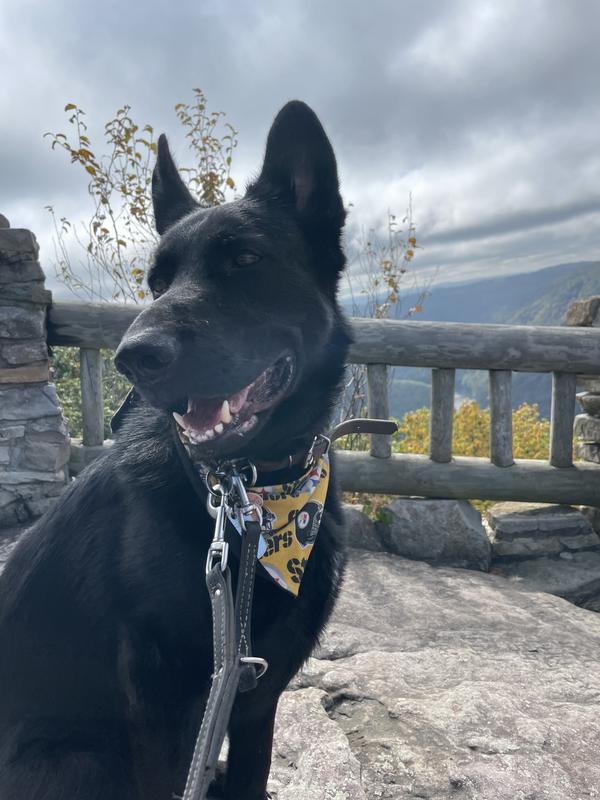 Major’s visit to Coopers Rock, WVA