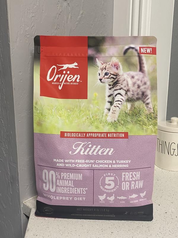 Orijen kitten outlet review