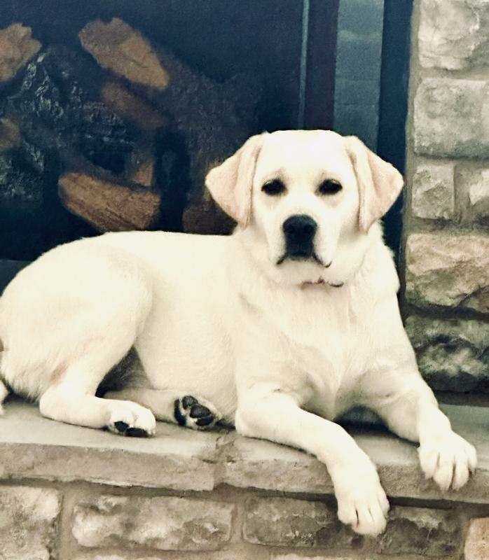 Our love pup