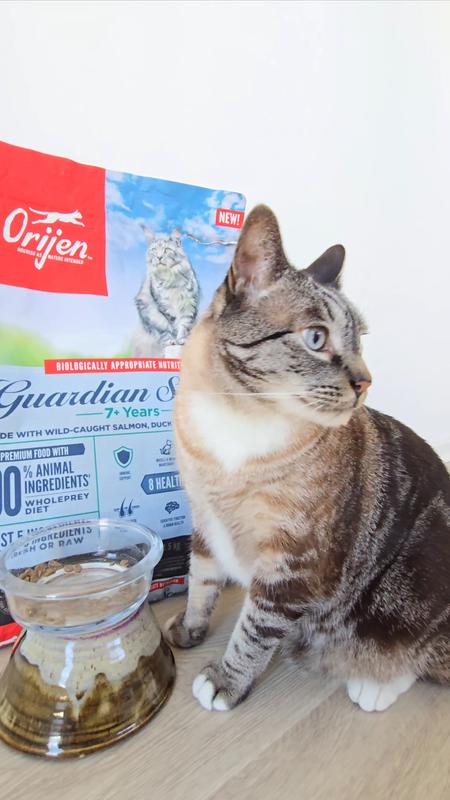 ORIJEN Guardian Senior Cat Food for Heart Joint Brain Health ORIJEN