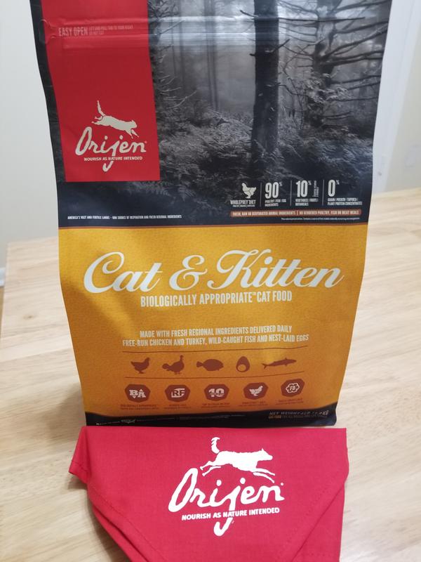 Orijen cat clearance and kitten ingredients