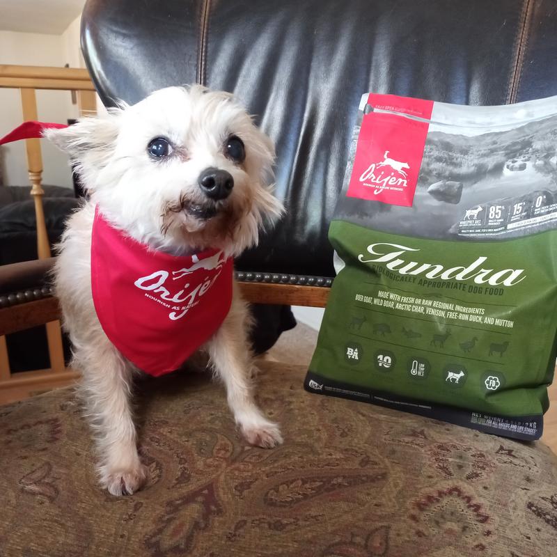 Tundra Dog Food