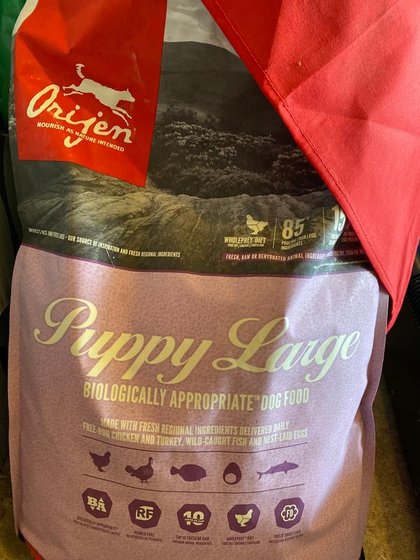 Puppy Large Breed Dog Food
