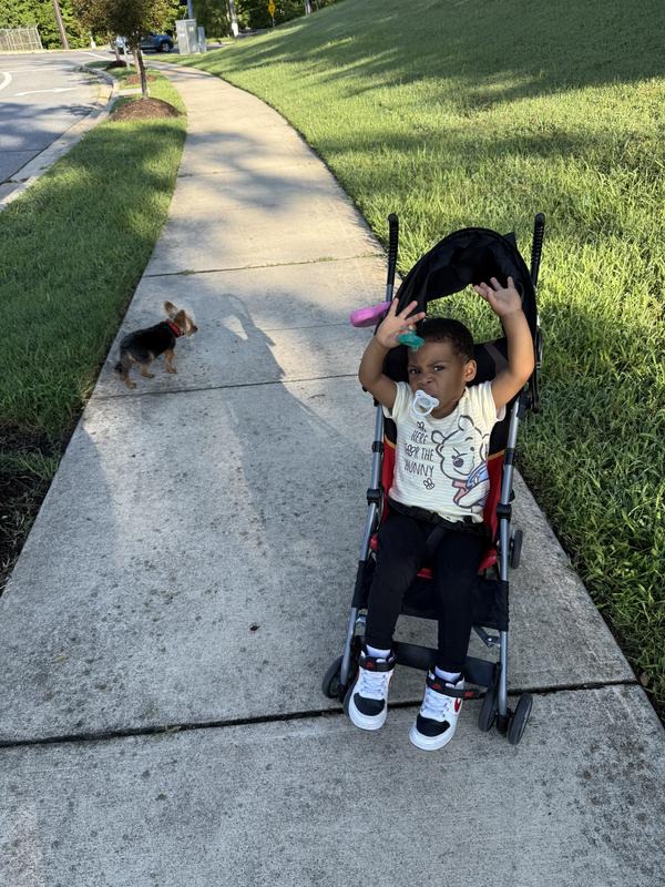 Gigi and Jojo out for a stroll