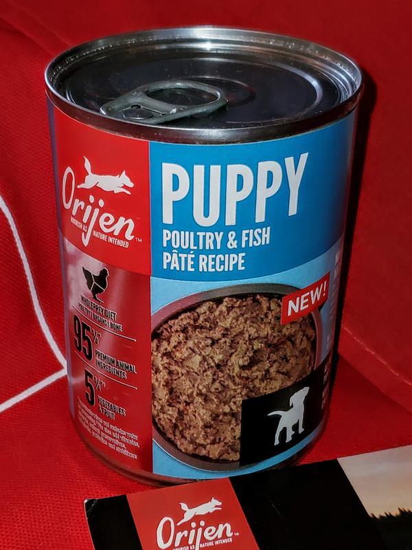 Orijen canned dog outlet food