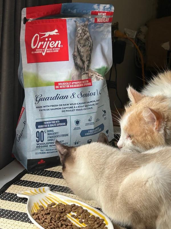 ORIJEN Guardian Senior Cat Food for Heart Joint Brain Health ORIJEN