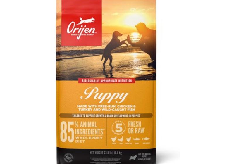 Orijen for small dogs hotsell