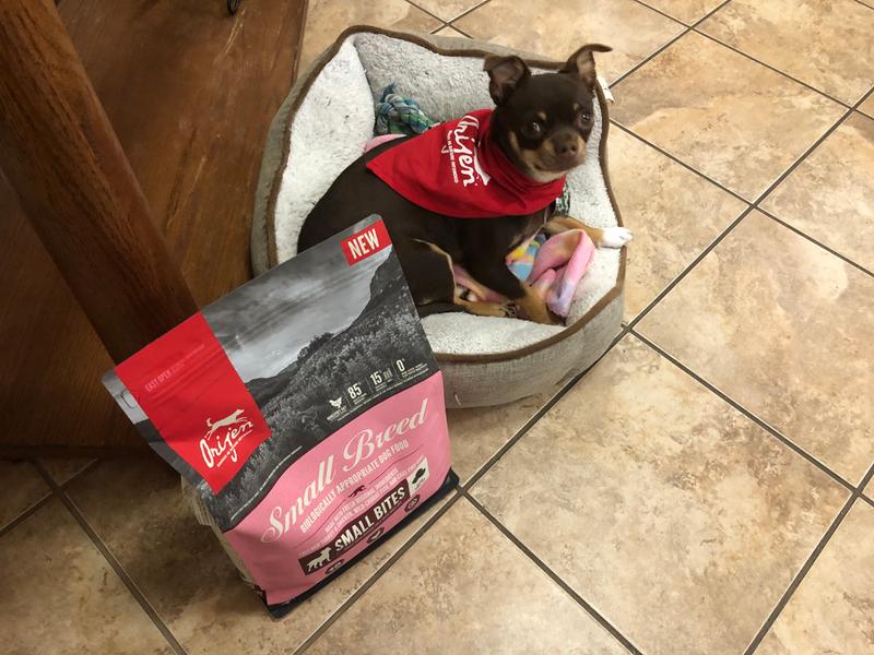 Small Breed Dog Food